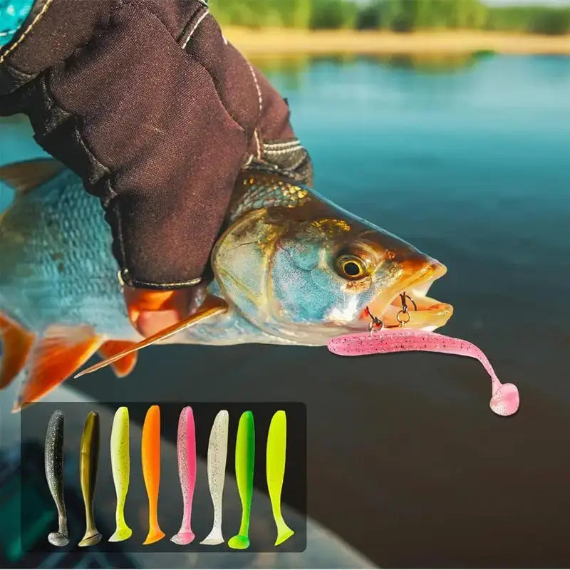 Angler holding a fish with a soft silicone lure, showcasing various color options for effective fishing.